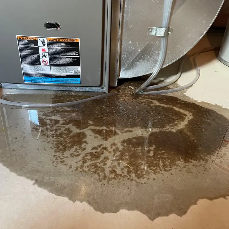 Appliance Leak Cleanup in Bainbridge Island, WA